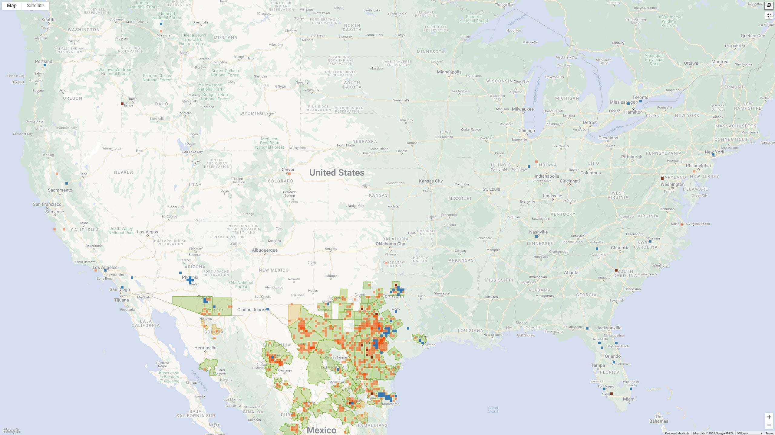 Aloysia gratissima (Whitebrush) Live Plant in 2.5" pot