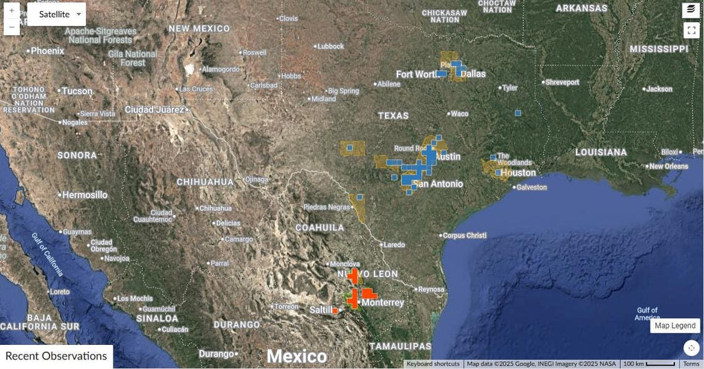 Myrospermum sousanum (Arroyo Sweetwood) Live Plant in 3.5" pot