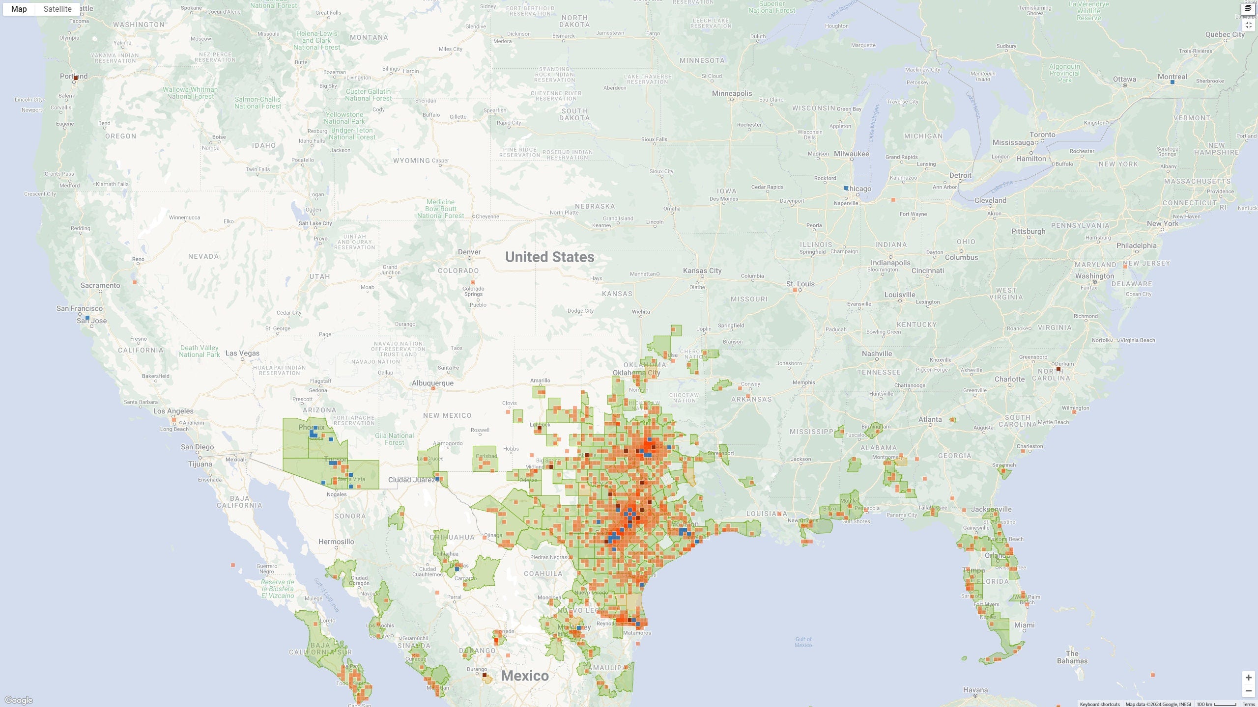 Cissus trifoliata (Sorrelvine) - 30 Seeds